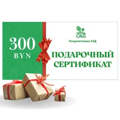 Подарочный сертификат на 300 BYN в Раменском