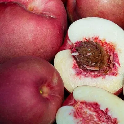 НЕКТАПЛЮМ в Раменском