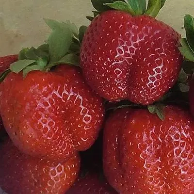 Клубника ДЕСТЕНИ  Клубника ДЕСТЕНИ в Раменском