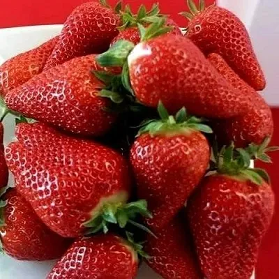 Клубника БРИЛЛА  Клубника БРИЛЛА в Раменском