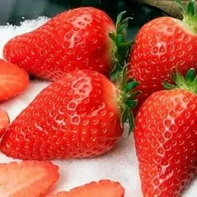 Клубника АЛЬБА  Клубника АЛЬБА в Раменском